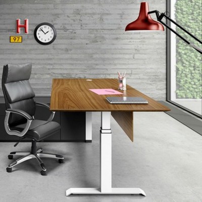 stand up electric height adjustable manager desk